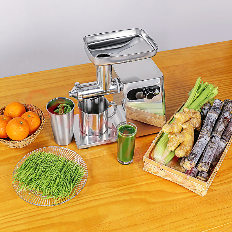 220V 200W Fruit Vegetable Juic - Cold Press Juicer recension och pris