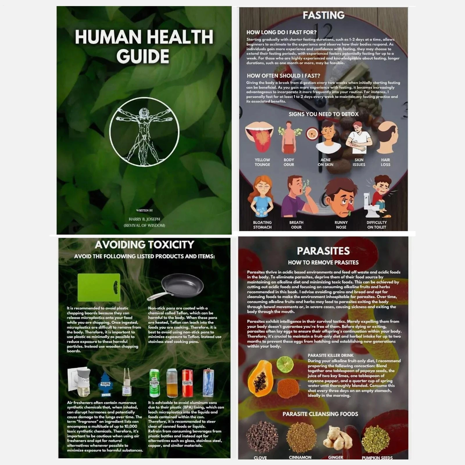 Human Health Guide by Harry B  - Health With Wellness recension och pris