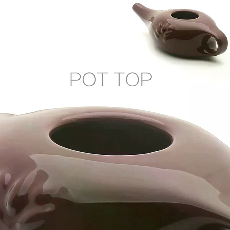 For Sinus Rhinitis Allergy Nos - Neti Pot Nasal Rinse recension och pris