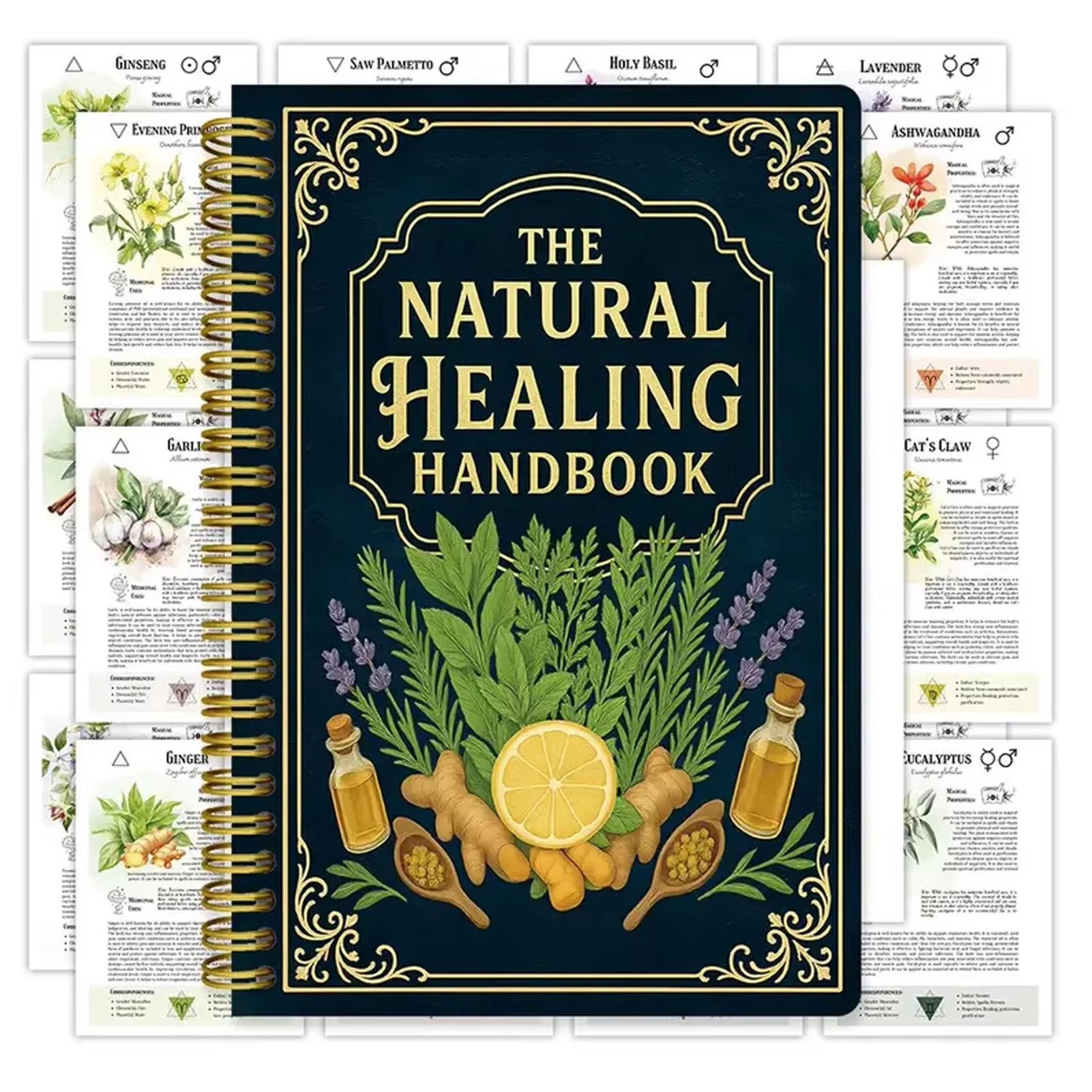 Healing Handbook By Luna Filby - Health & Wellness Gordon Edlin recension och pris