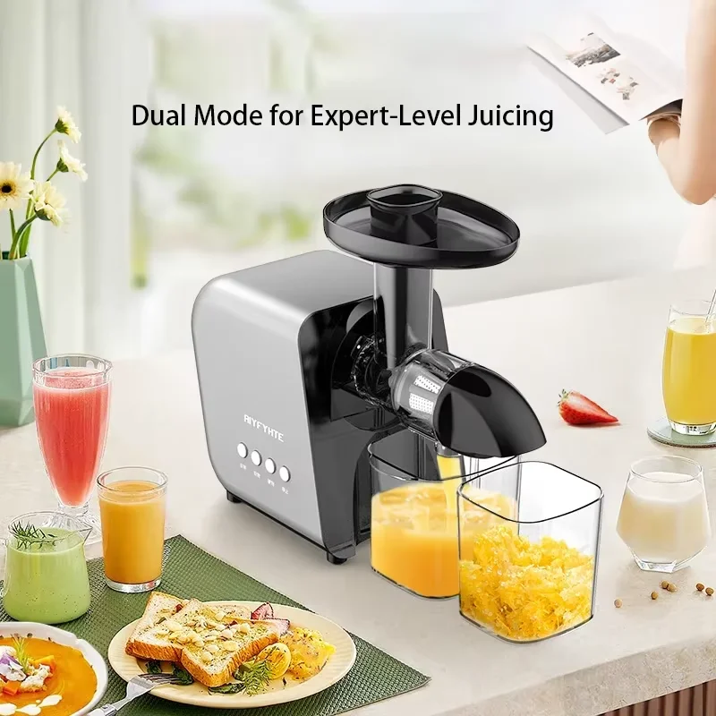 250W Slow Cold Press Fruit Jui - Cold Press Juicer recension och pris