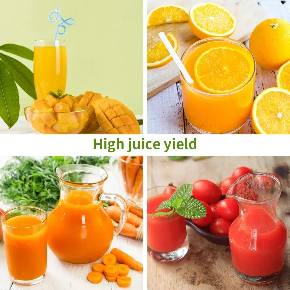 250W Slow Cold Press Fruit Jui - Cold Press Juicer recension och pris